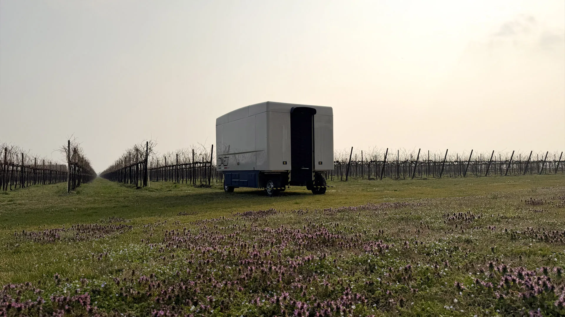 A.P.M.-01, the autonomous winter vine pruning machine, in a vineyard with flowering grass in the foreground