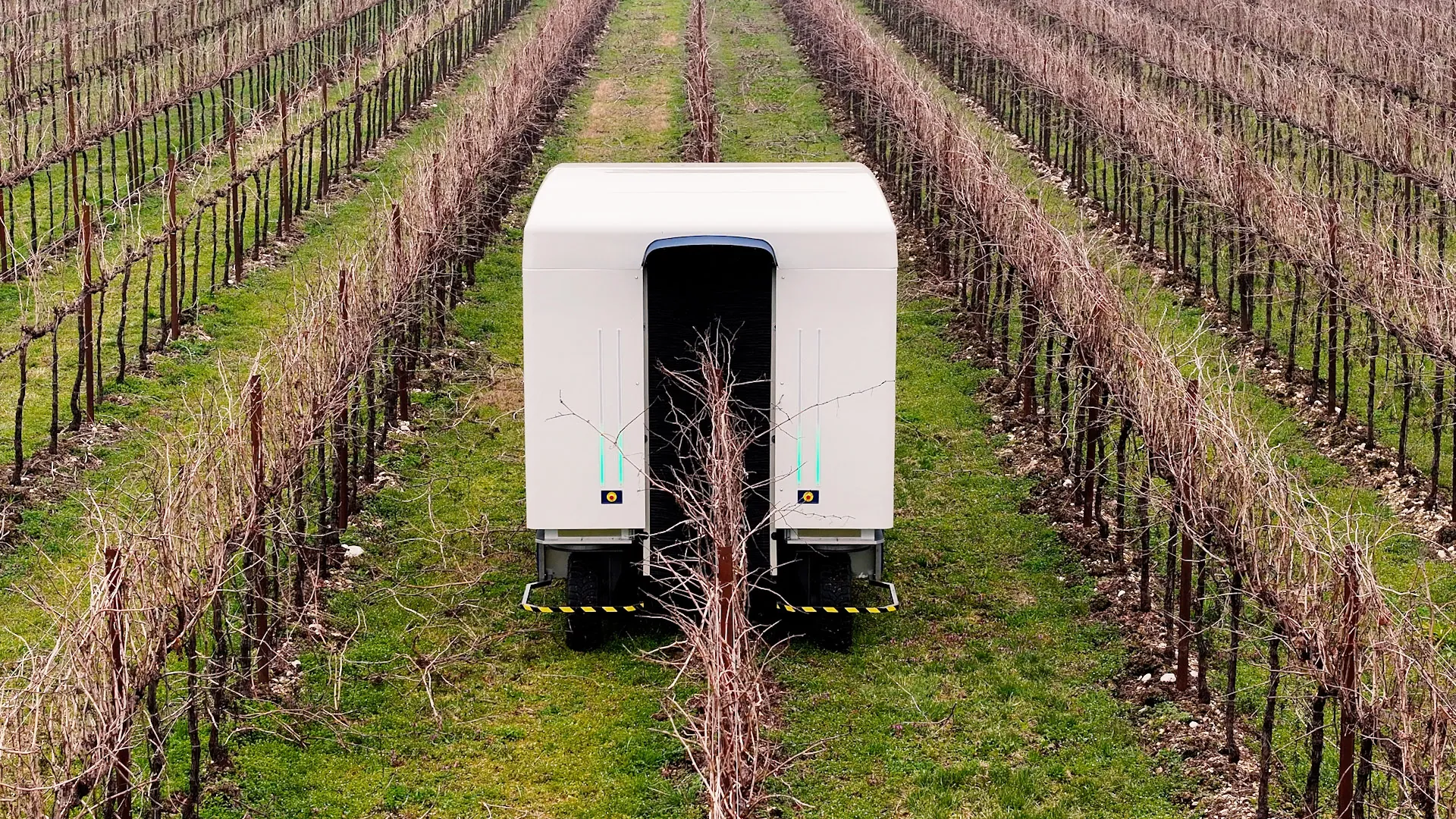 Front view of the autonomous winter vine pruning machine A.P.M.-01 straddling a row of bare vines