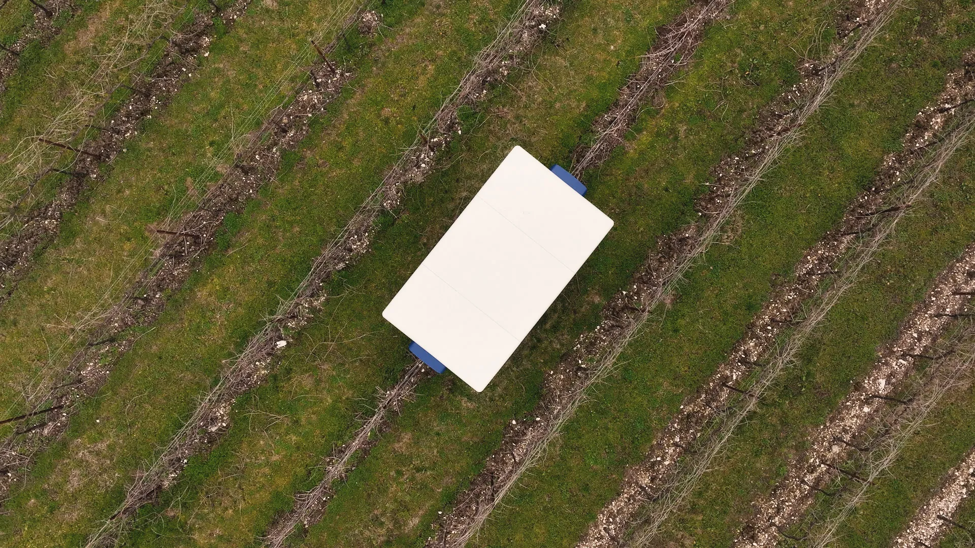 Aerial view of A.P.M.-01, the autonomous winter vine pruning machine, between the vineyard rows
