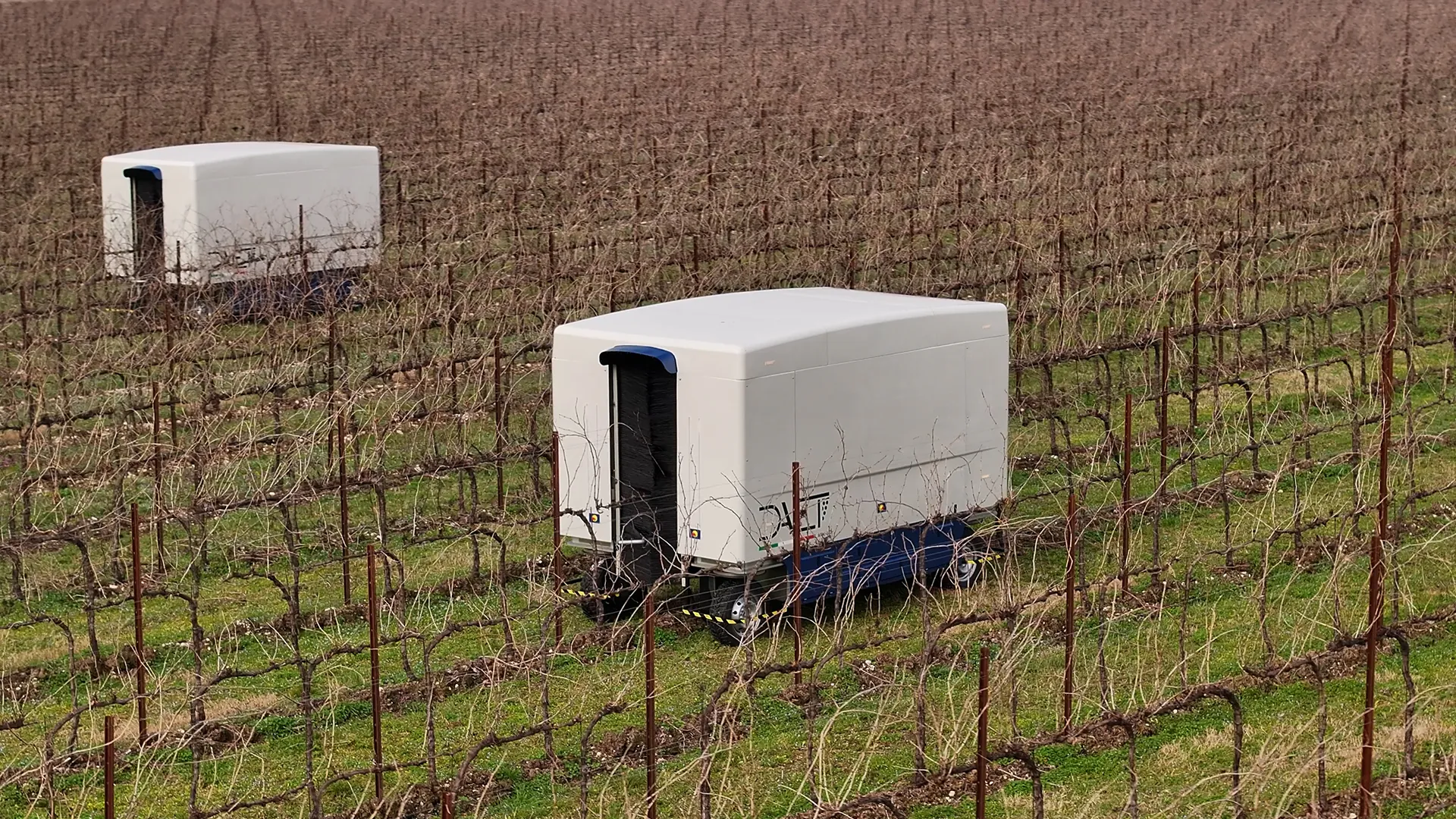 Two units of the autonomous winter vine pruning machine A.P.M.-01 in the same vineyard